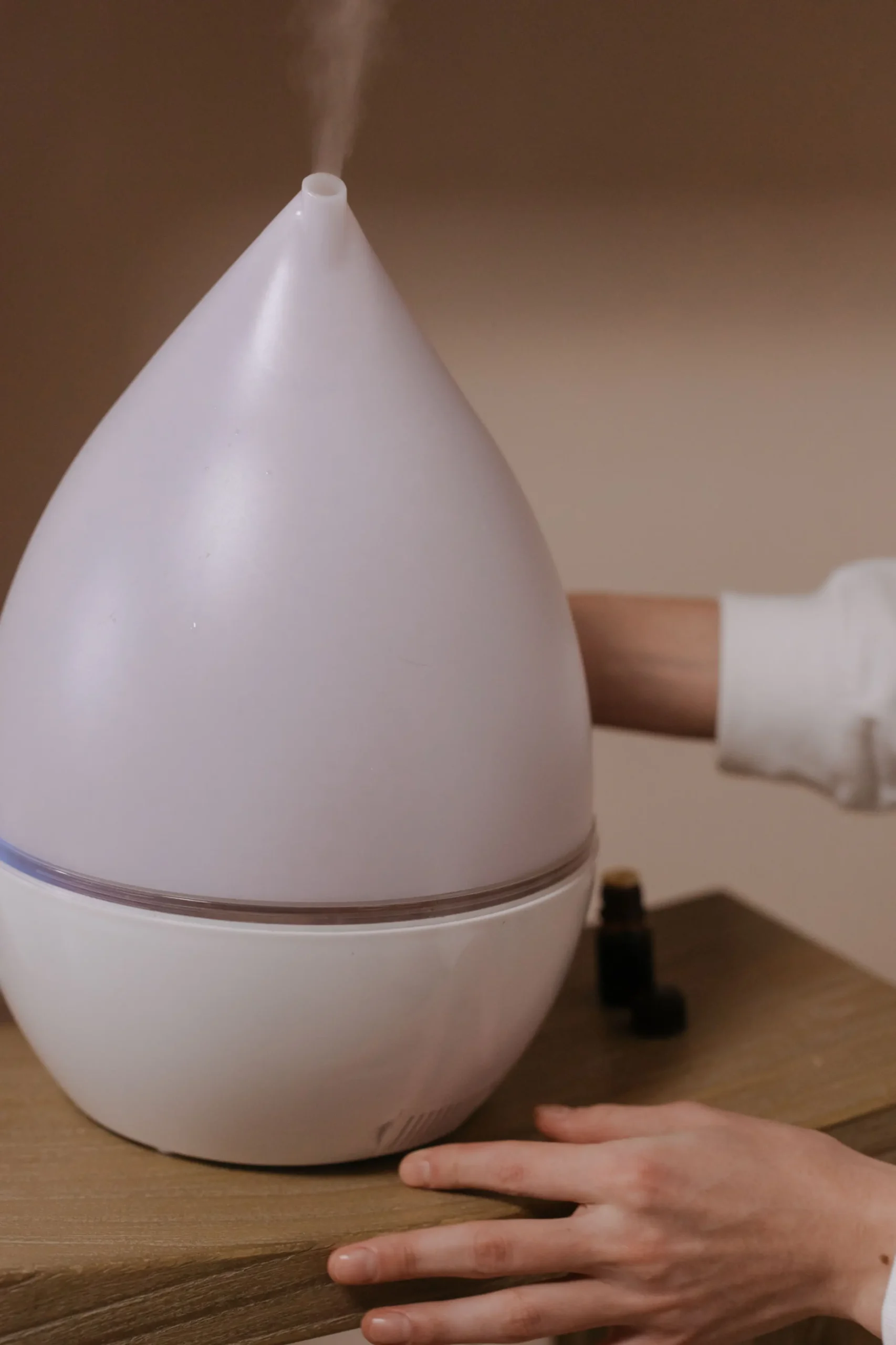 Whole-home humidifier representing seasonal HVAC comfort needs in McKinney